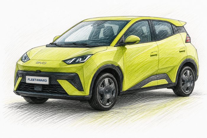 BYD Dolphin Surf